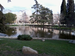 Parque Aluche